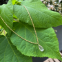 Collier LEAF