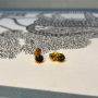PUCES D'OREILLES ORPHEE