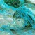 chrysocolle
