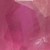 Saphir rose